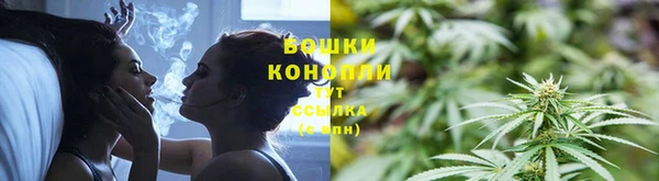 гидропоника Балабаново