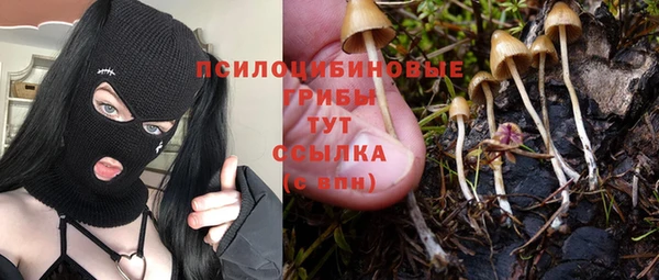 гашик Баксан