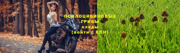 гашик Балахна