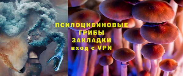 гашик Балахна