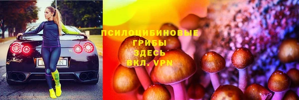 молекула духа Беломорск
