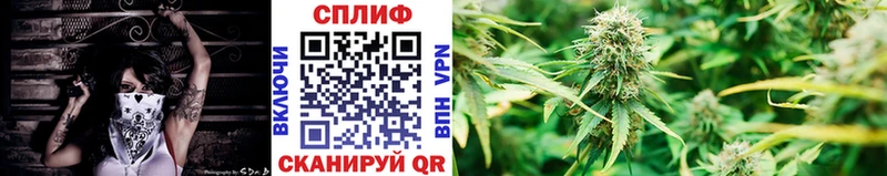 Каннабис тримм  закладка  Рудня 